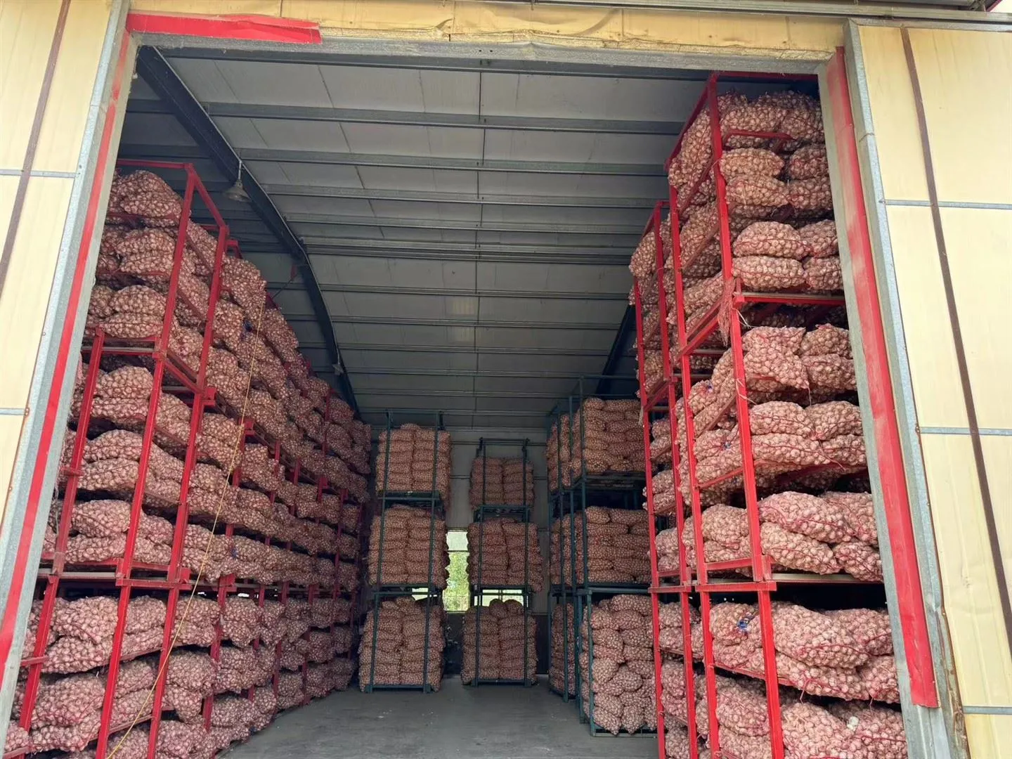 Säilitatud küüslauk