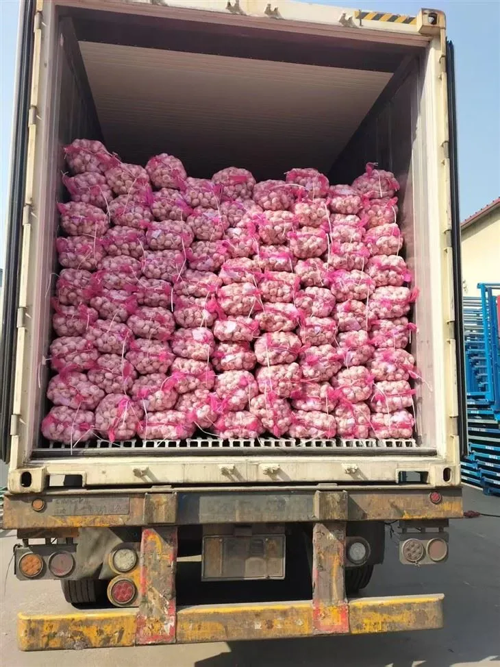 Kena segu küüslauk